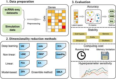 A Comparison for Dimensionality Reduction Methods of Single-Cell RNA-seq Data